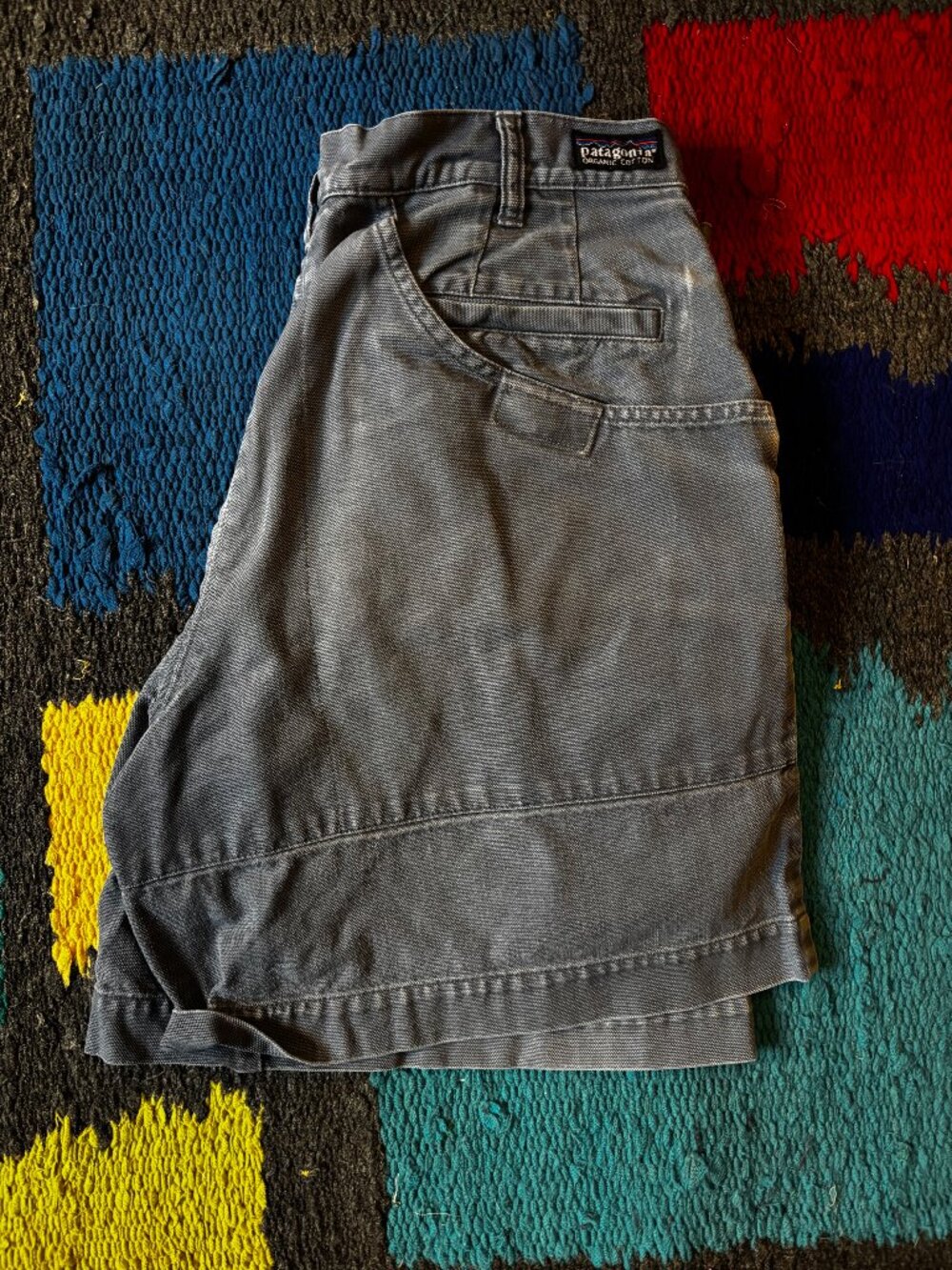 Patagonia Stand Up Canvas Shorts